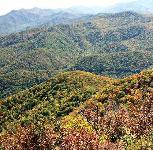 Near Lake Nantahala