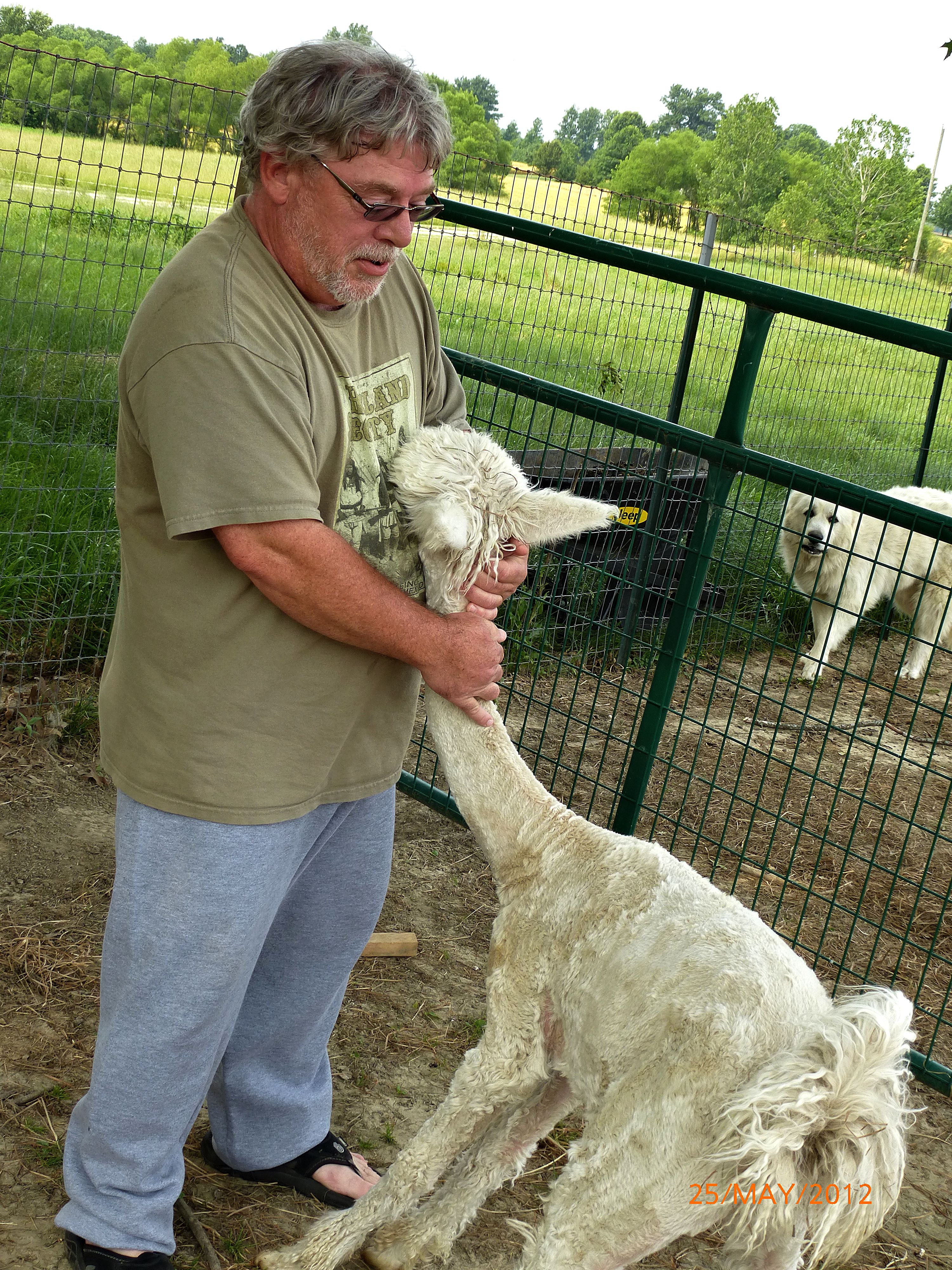 G- Richard with Alpaca.jpg
