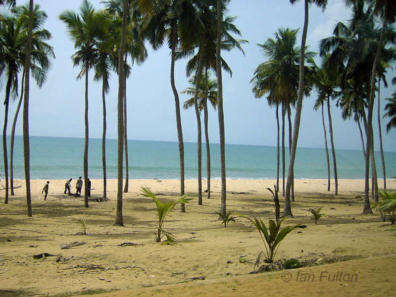 Gold Coast beach, near Winneba, Ghana