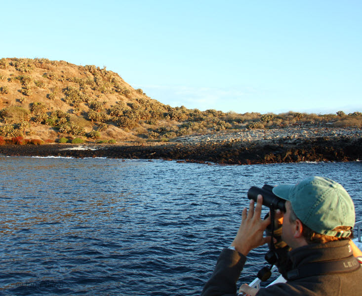 Champion Islet by Floreana, Galapagos