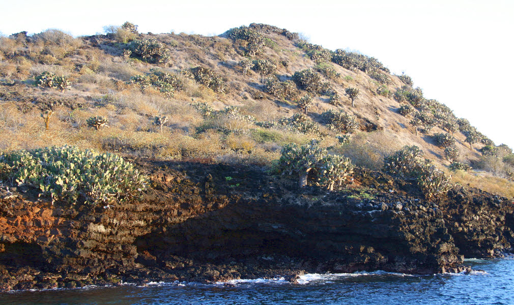 Champion Islet by Floreana, Galapagos