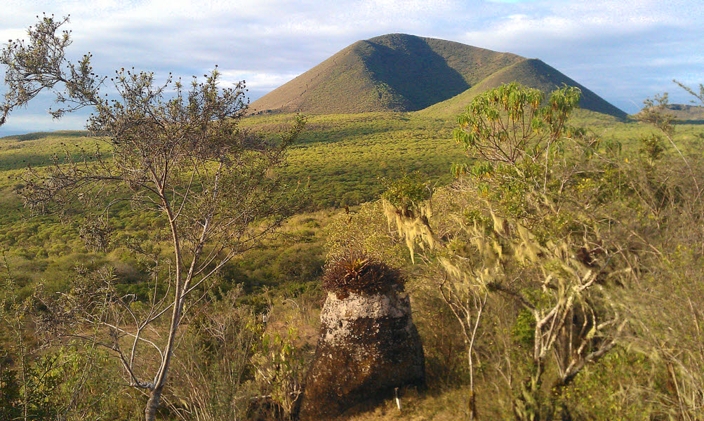 Floreana, Galapagos