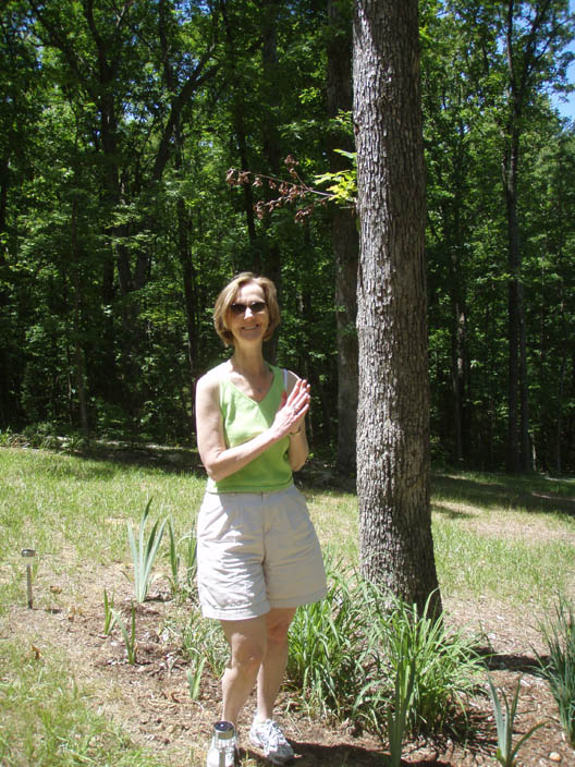 Carol Lake Gardening.jpg