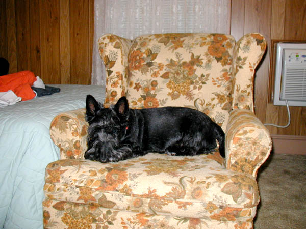 Mac at the Bayview.jpg