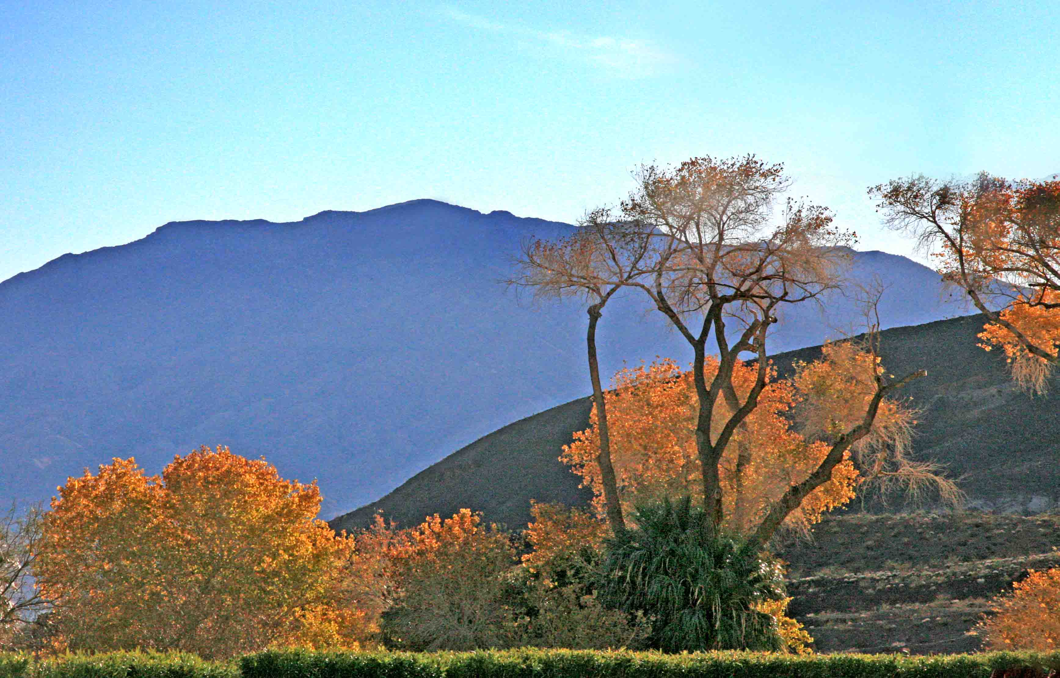 View from Scottys Castle