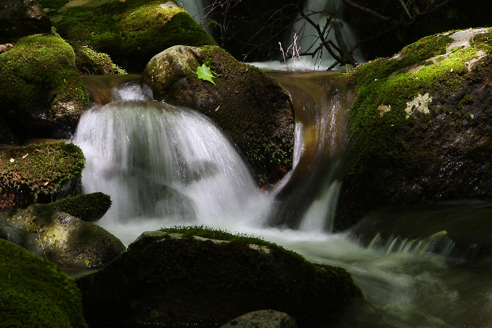 Small Cascade