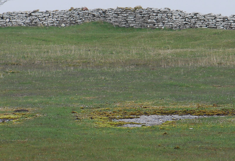 Oland may10  089.jpg
