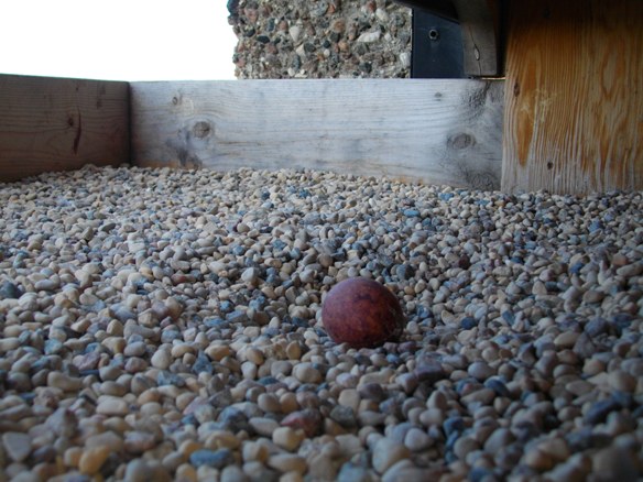 Apr 17 - Nesting on the West