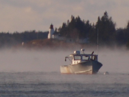 Sea Smoke #170091