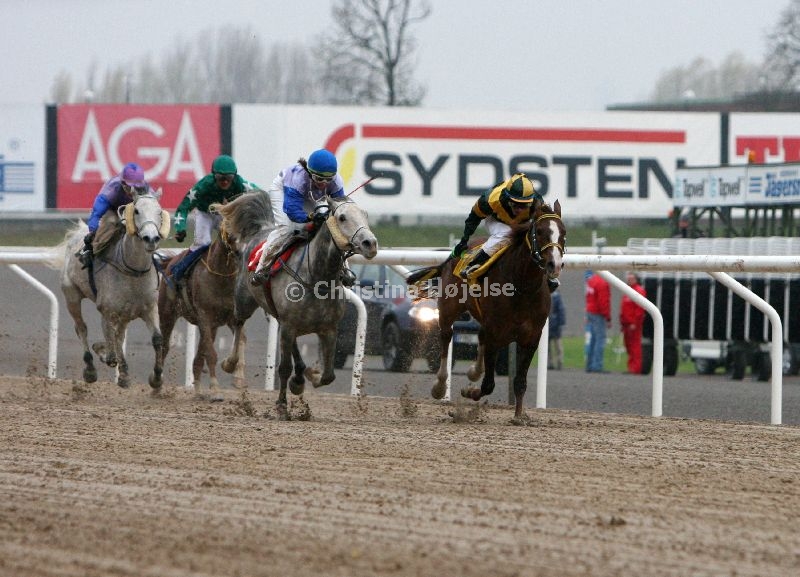 img_8337c.jpg     (Ramonia Arabians Finalhandicap)