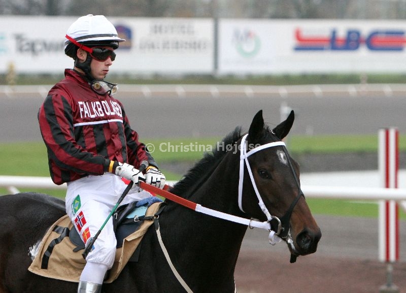 img_8387c.jpg     (Honey Rider)