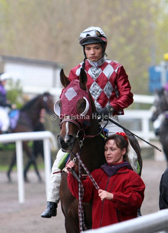 img_8436c.jpg     (El Rey)