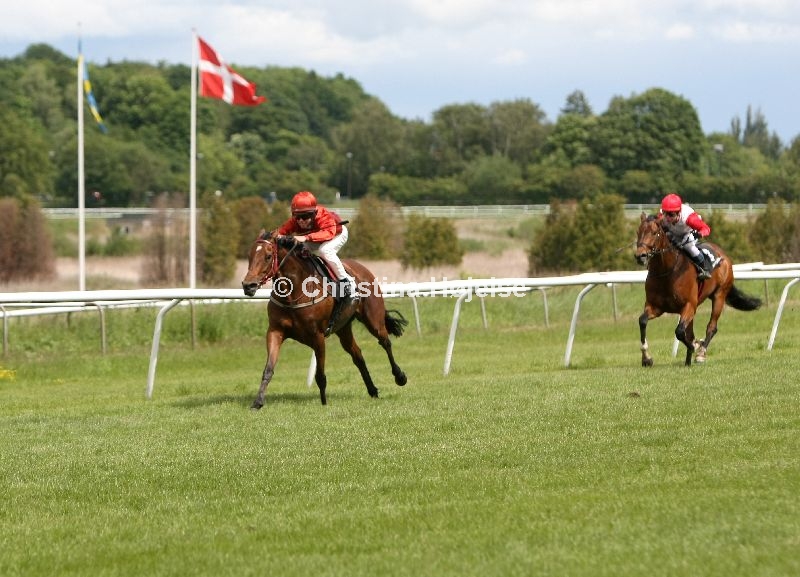 4202c.jpg (Rock Of Kildare)