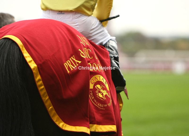 4850e.jpg (Sea The Stars / MJ Kinane)