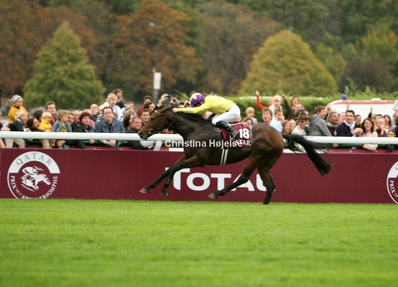 4744e.jpg (Sea The Stars / MJ Kinane)