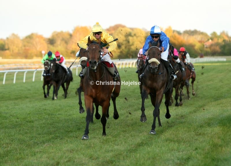 6648e.jpg (Irish Anderson & Clauses Star)