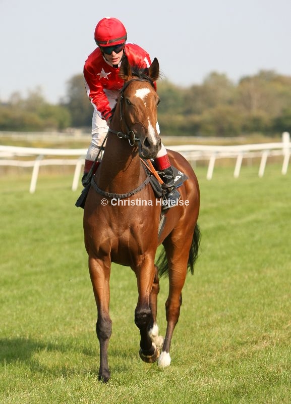 2962e.jpg (Runner Runner)