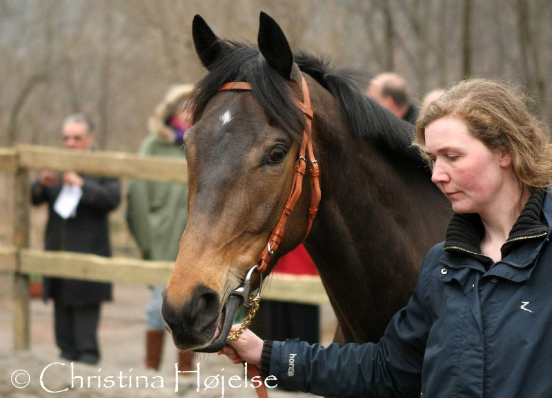 1216f.jpg (Bye Bye Bandit)