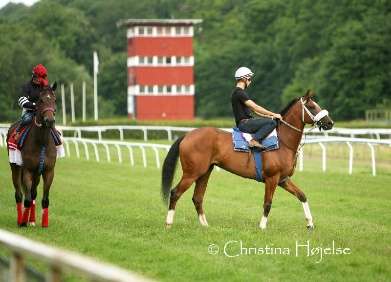 3580v.jpg (Darcy & Summertime)