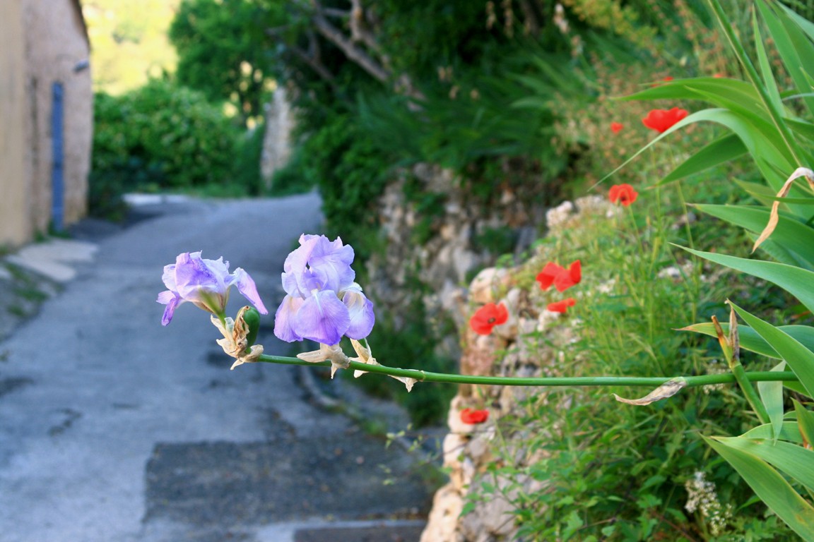 0154 Moustiers Sainte-Marie.JPG