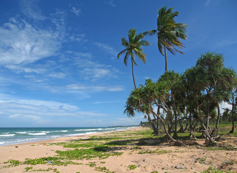 Nilaveli