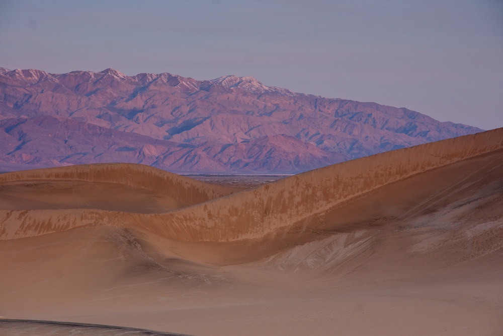Morning dunes