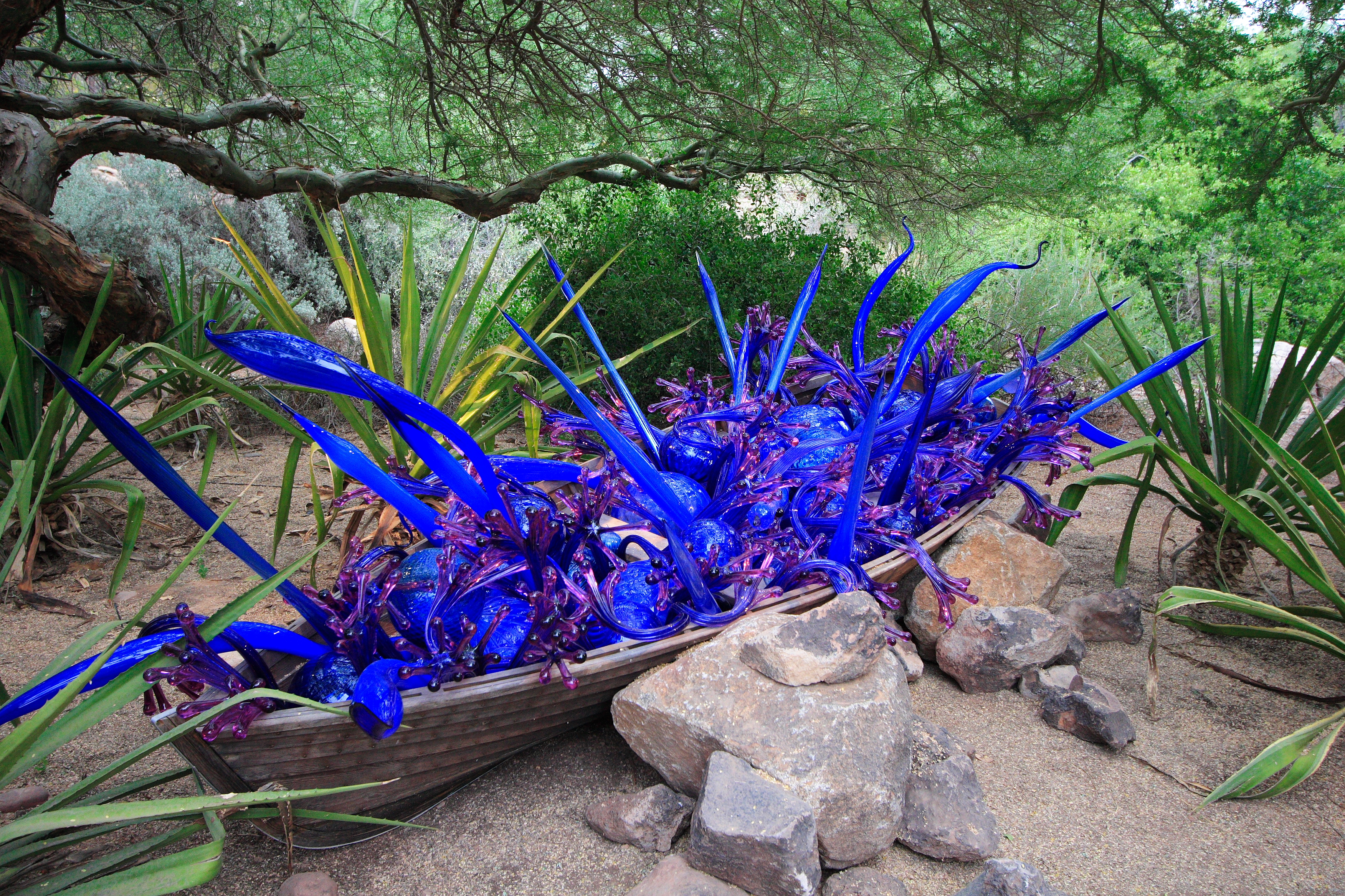 Blue and Purple