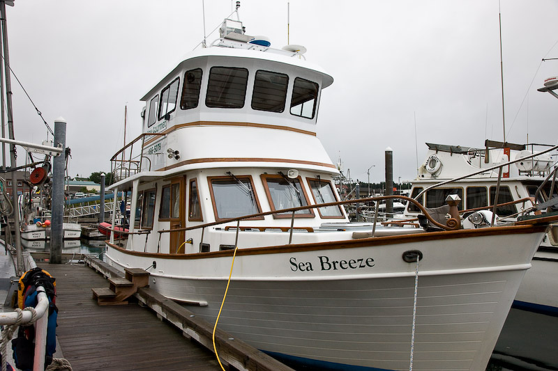 102_Sea Breeze