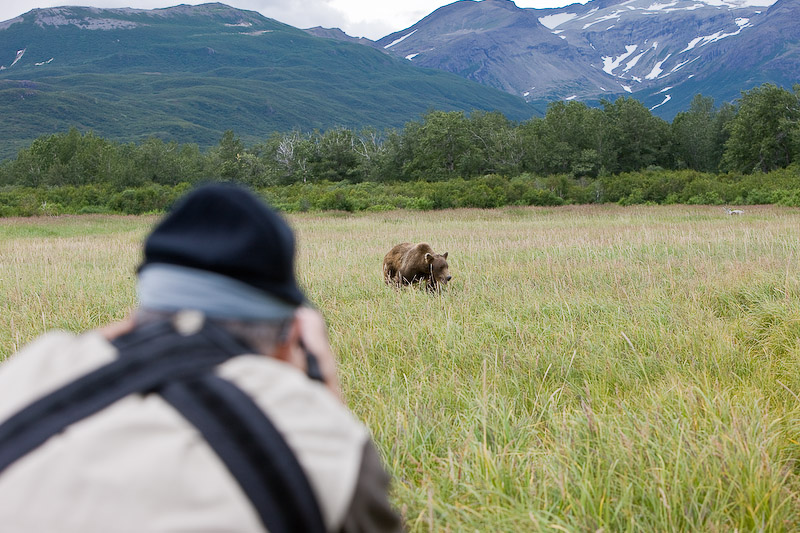 124_Photographer and Bear