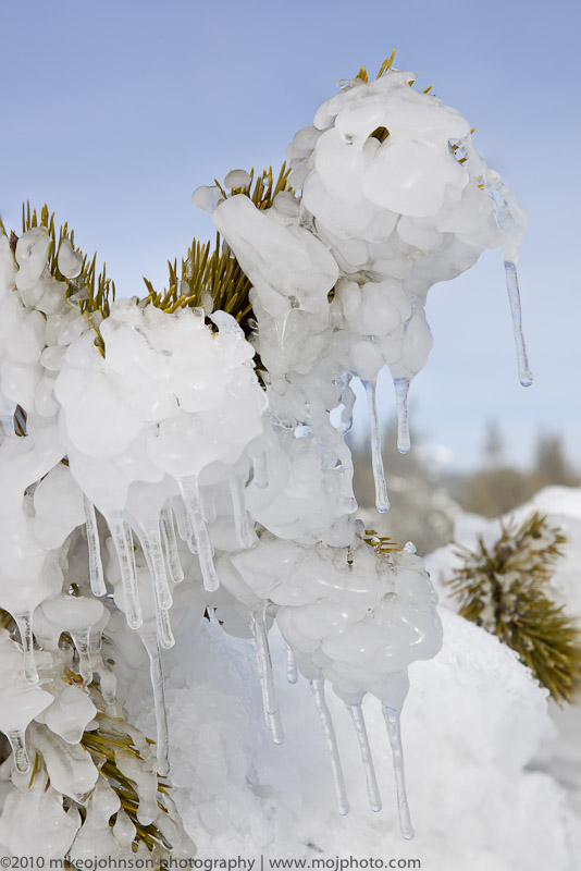 019-Winter Ice