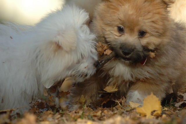 Nov8_05_054.JPG