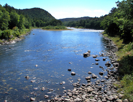 P9071363.JPG