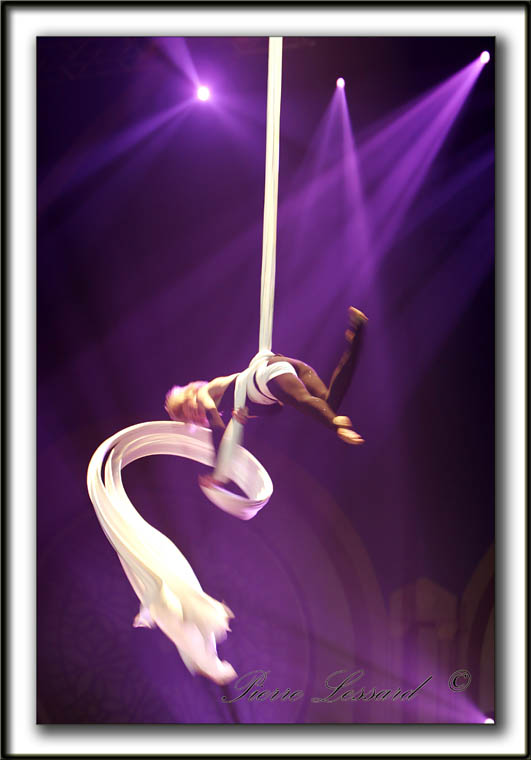  DANIELLE BEAUDOIN - TISSUS ARIEN  /  AERIAL SILK   _MG_2328a