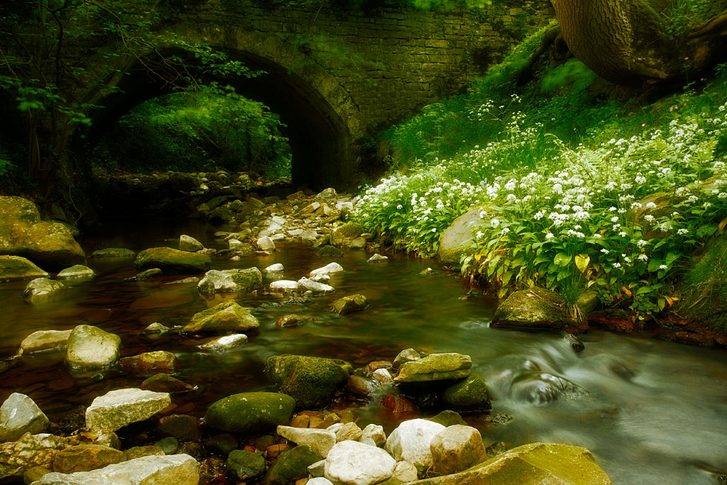 20090525 - Oxque Bridge