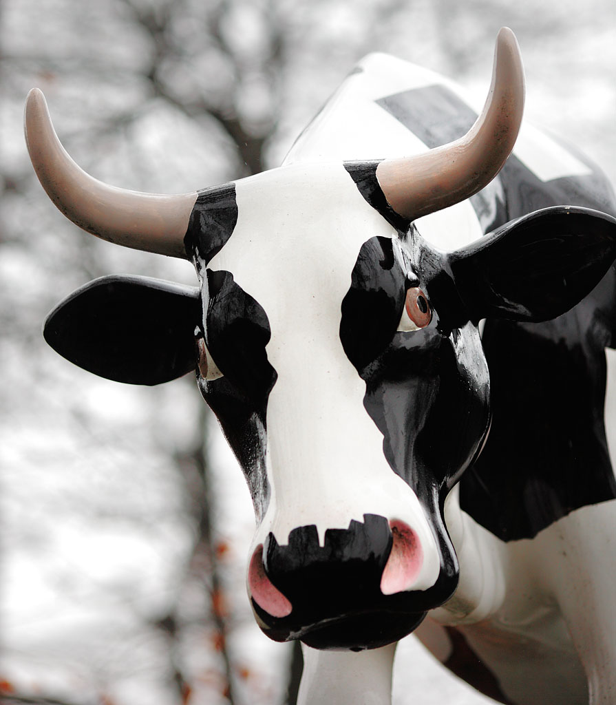 20100320 - Moo Coo