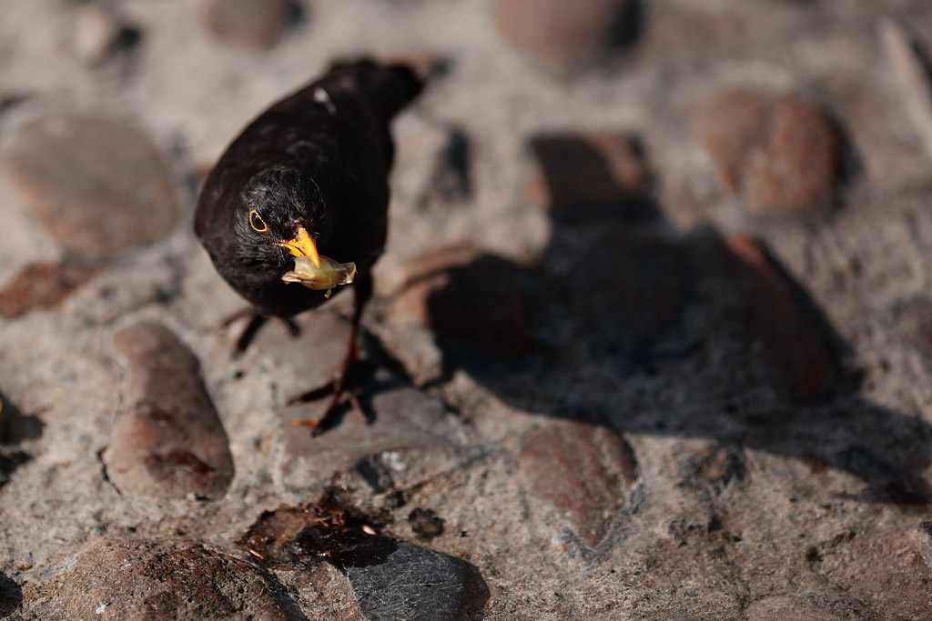 20080525 - Snack