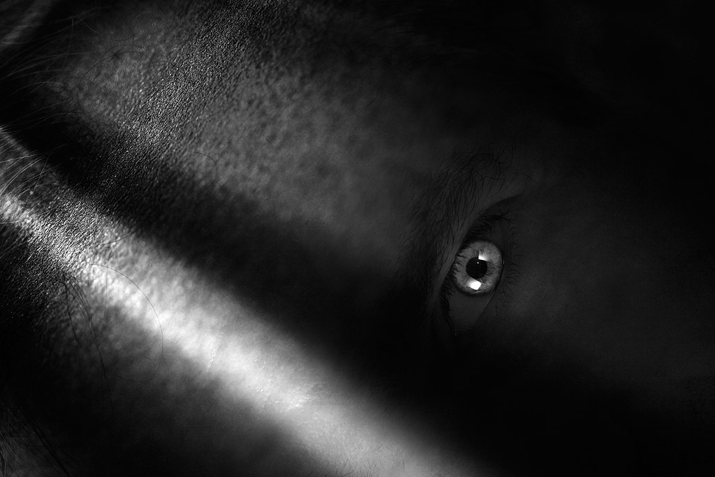 20080530