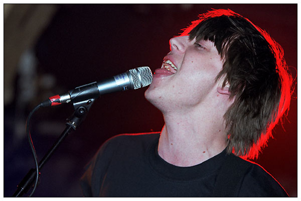 Craig Nicholls, The Vines