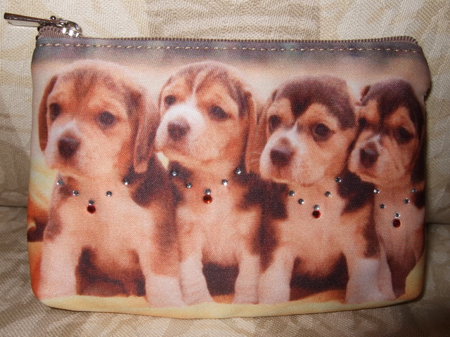 $59 COINS/CARD BAG (OCTOPUS CARD OK)DSCF8731.JPG