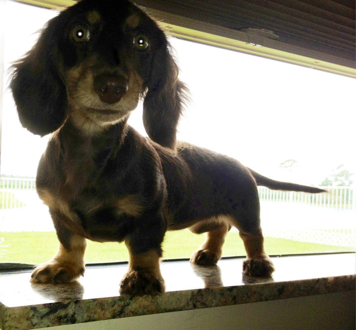 Stella-Window-Sill-Web.jpg