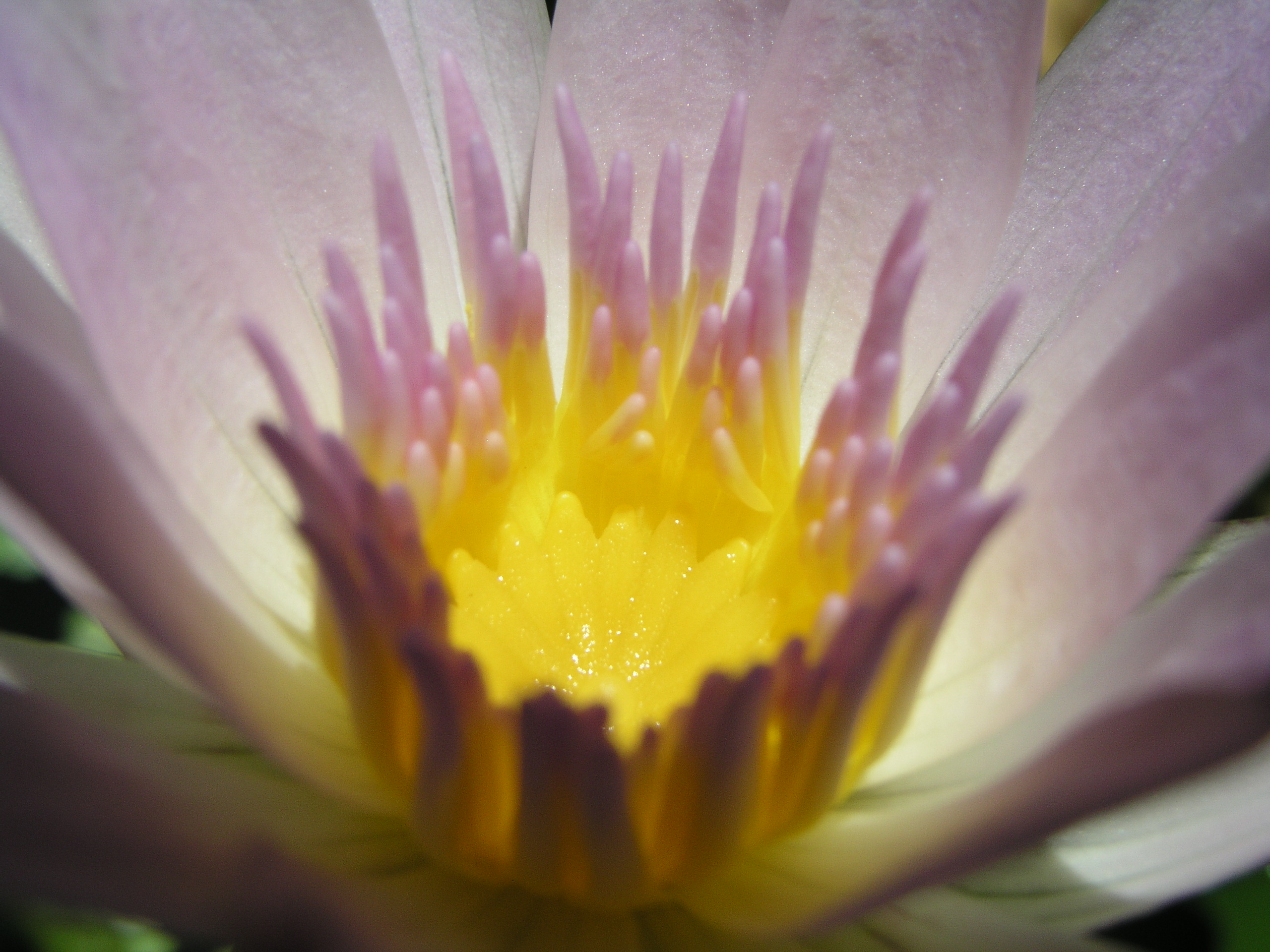 May-June09 127.jpg