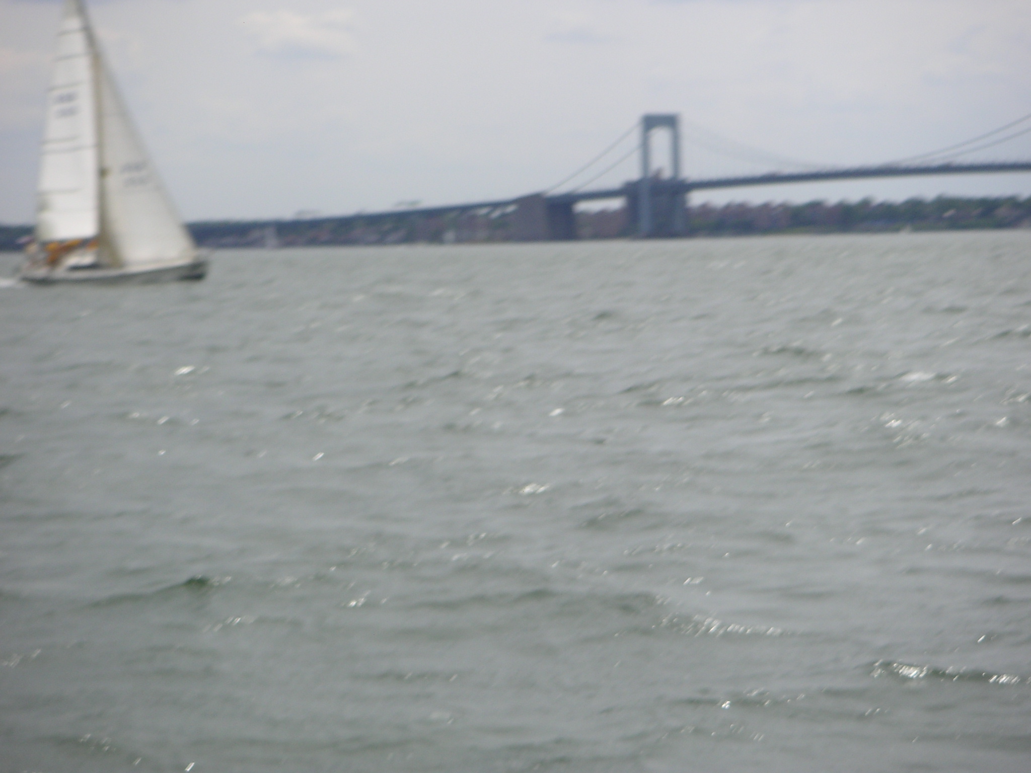 PICT0157.JPG