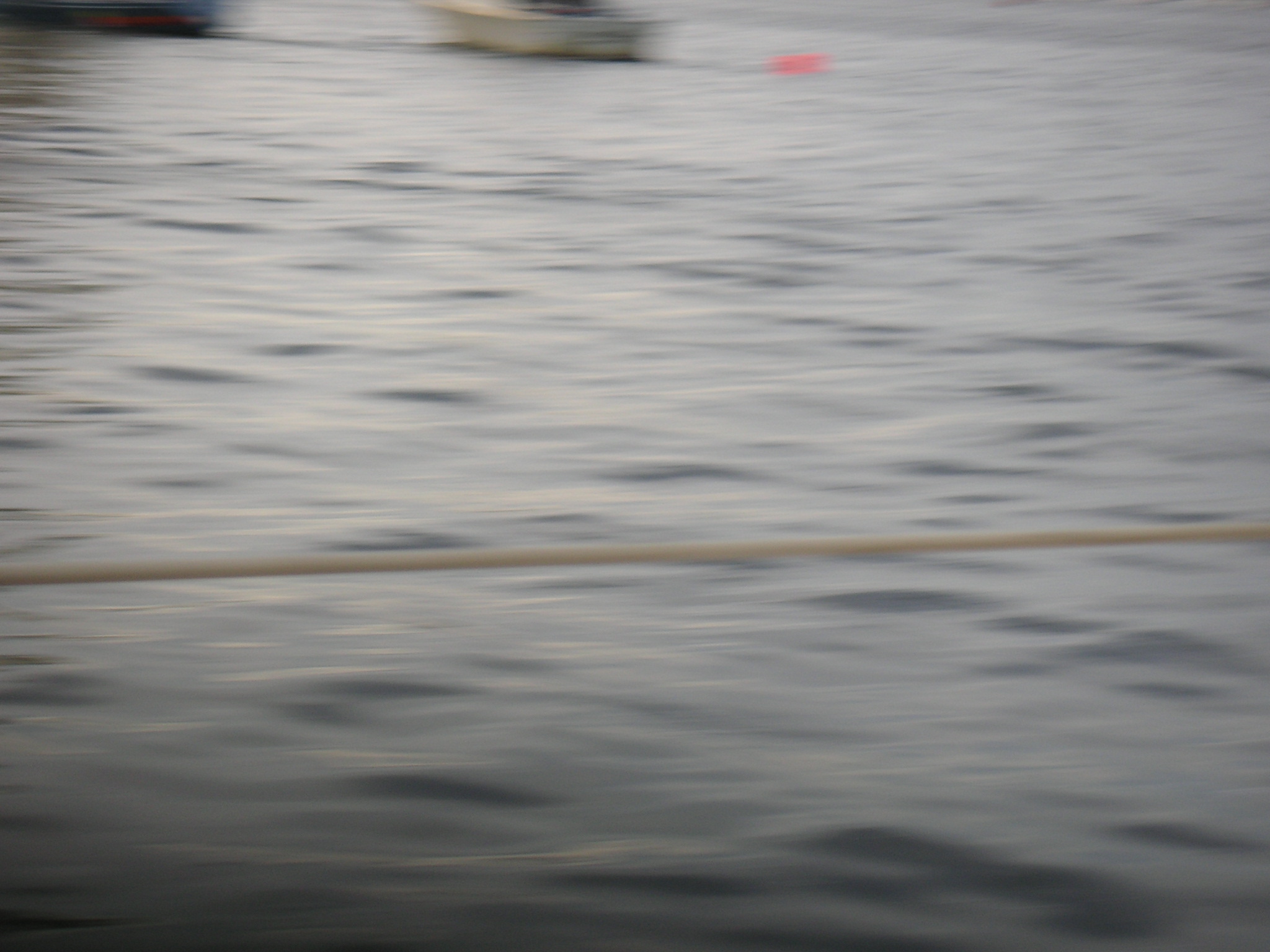 PICT0049.JPG