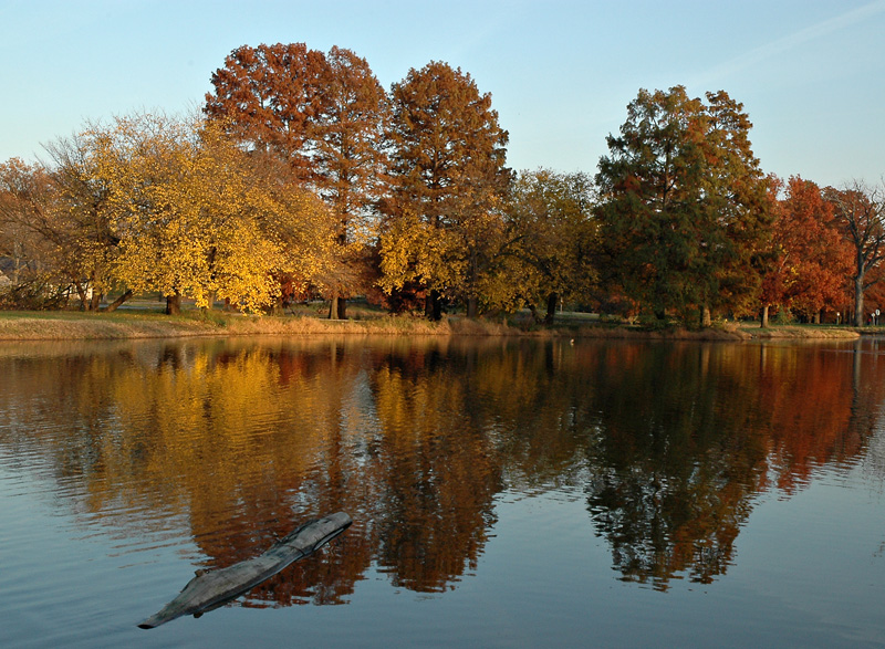 DSC_4142.jpg