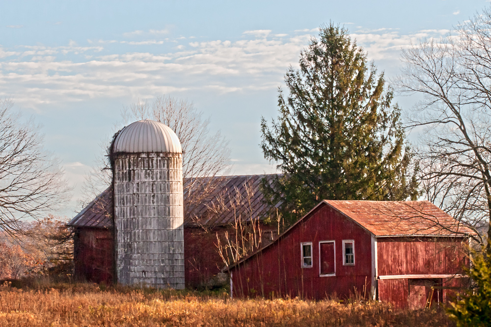 Coleman Road Barn