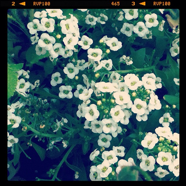 May 28