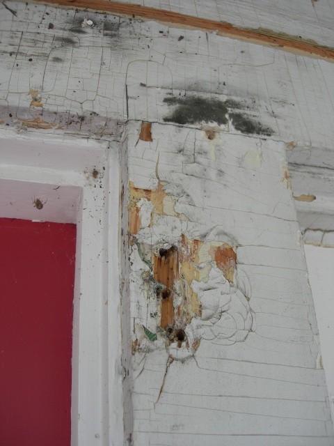 DSCN6880.JPG