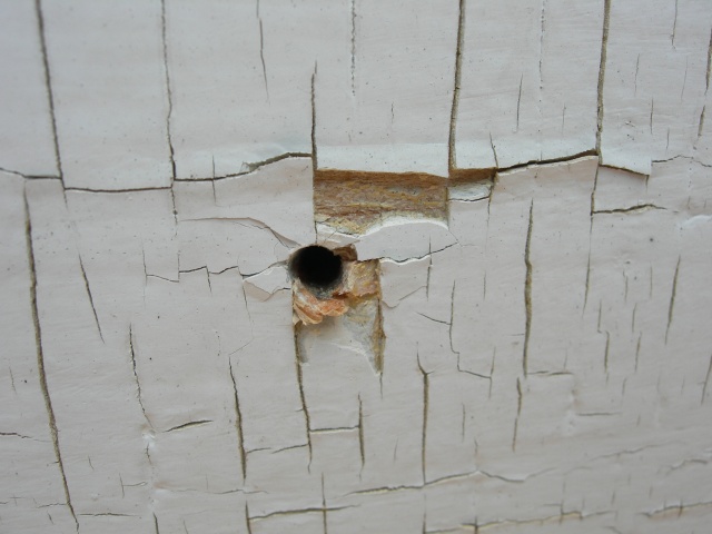DSCN6911.JPG
