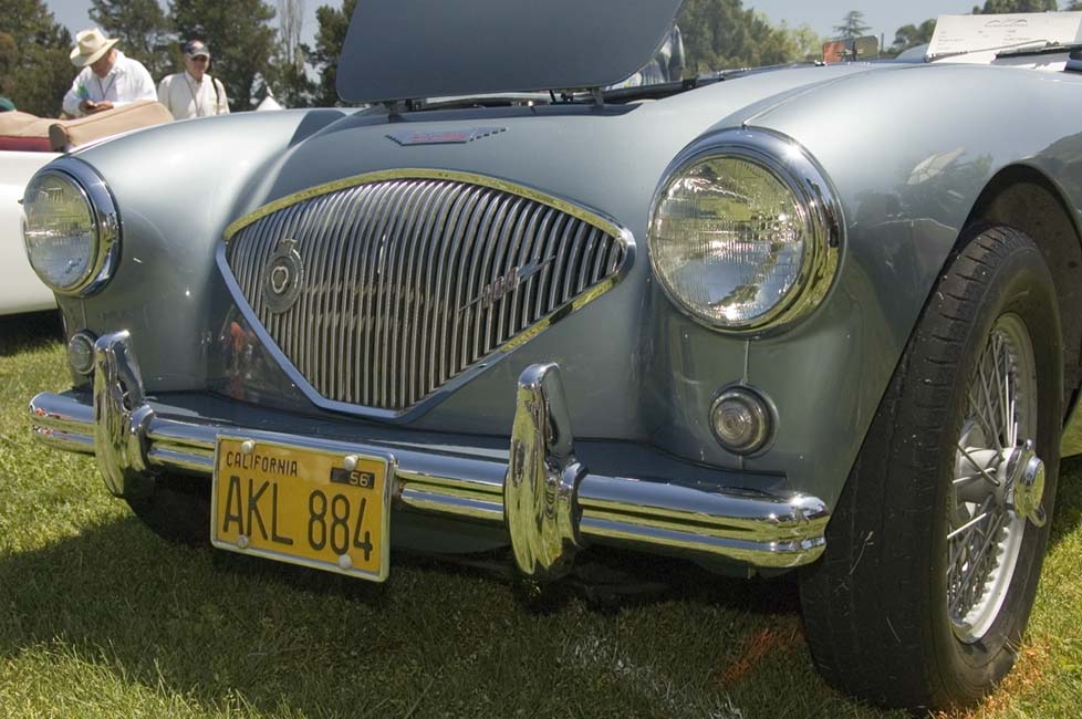 Austin Healey 100 