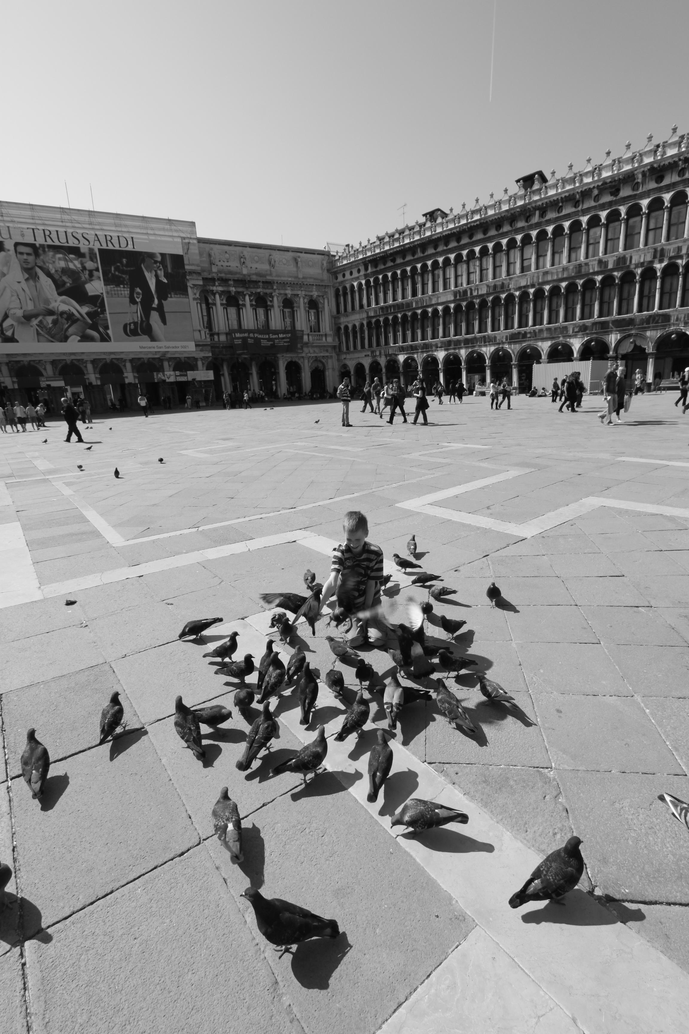 Piazza San Marco 6